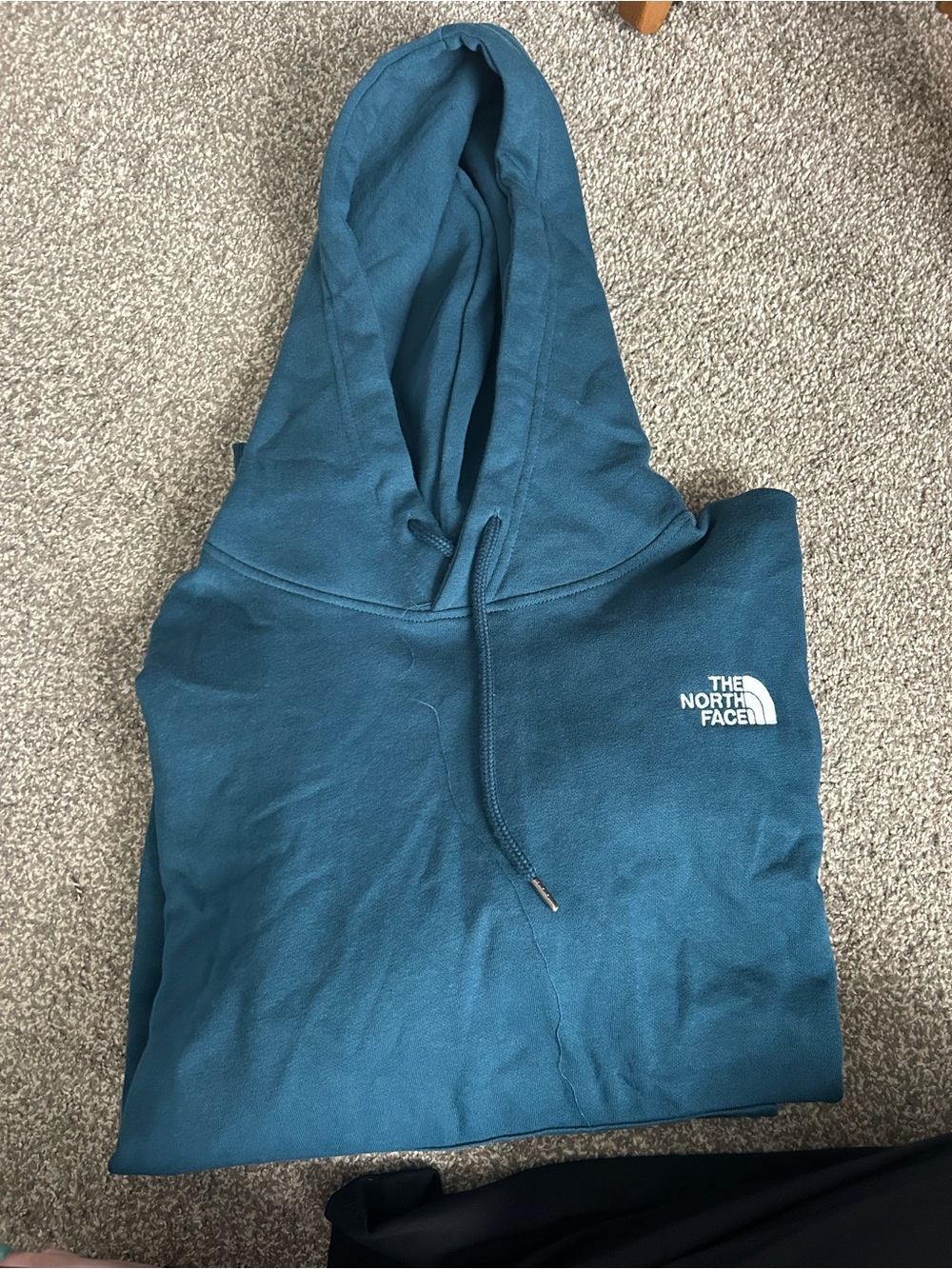 The North Face Teal Hooded Pullover